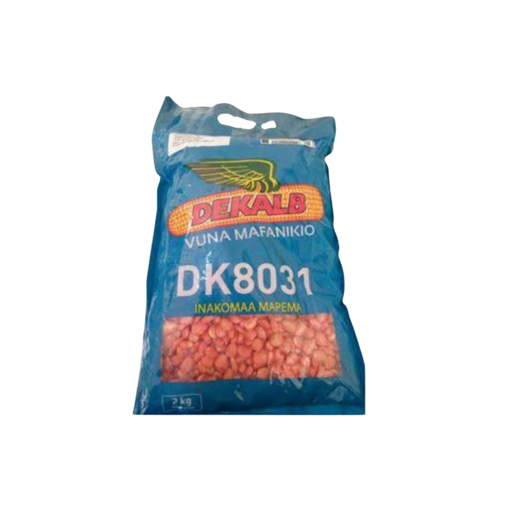 DK 8031